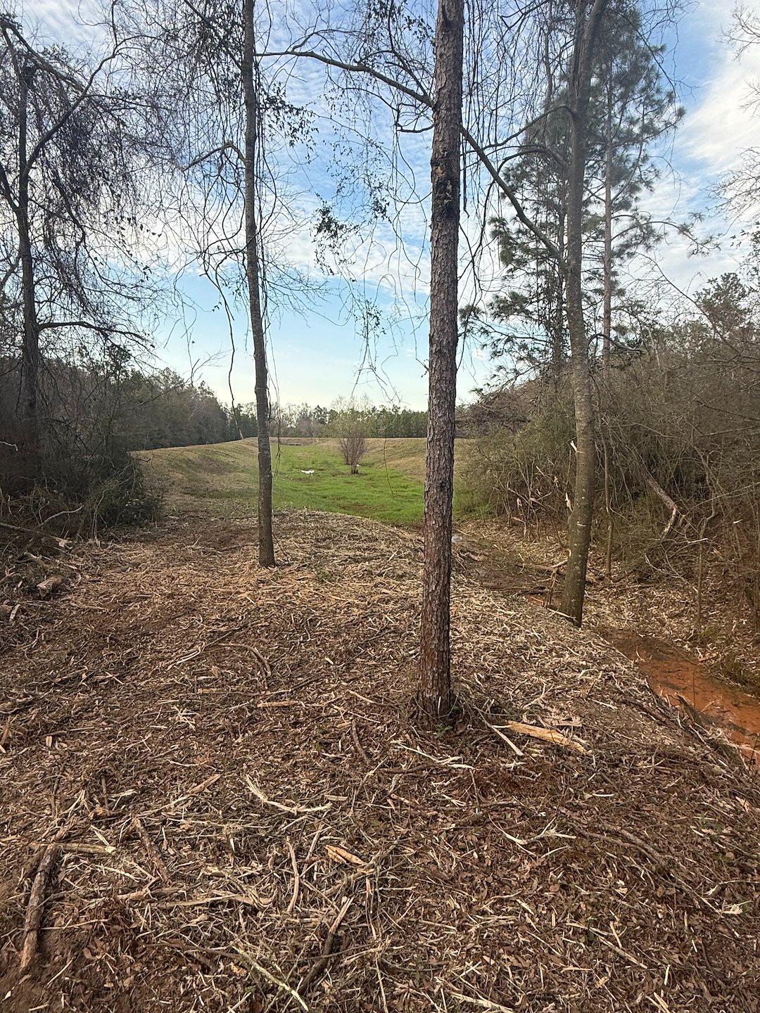 Drainage Ditch Mulching Milton FL