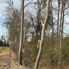 Drainage-Ditch-Mulching-Milton-FL 0