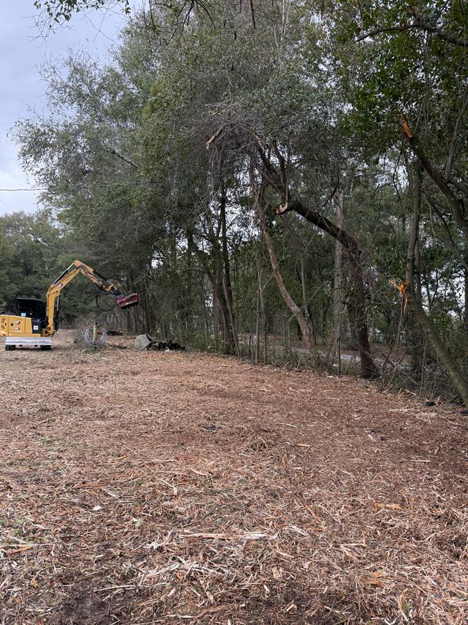 Property Reclamation in Milton, FL