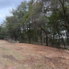 Property Reclamation in Milton, FL 2