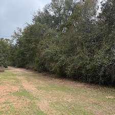 Property Reclamation in Milton, FL 1