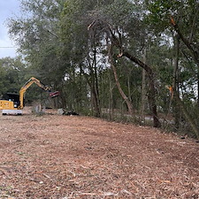 Property Reclamation in Milton, FL 0