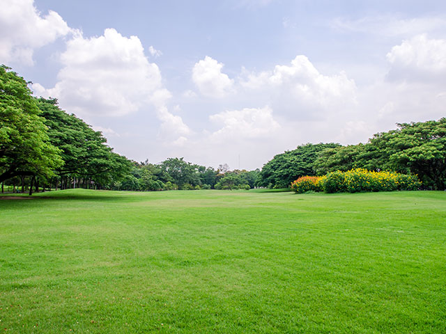 Sustainable land solutions